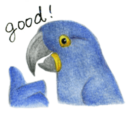 NORISAN BIRDS STICKER sticker #3721313