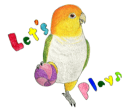 NORISAN BIRDS STICKER sticker #3721316