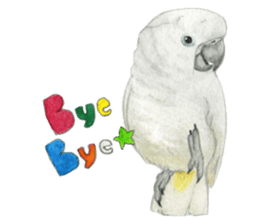 NORISAN BIRDS STICKER sticker #3721317