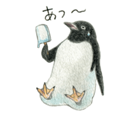 NORISAN BIRDS STICKER sticker #3721319