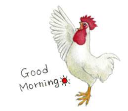 NORISAN BIRDS STICKER sticker #3721321