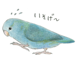 NORISAN BIRDS STICKER sticker #3721324