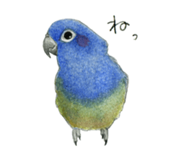 NORISAN BIRDS STICKER sticker #3721326