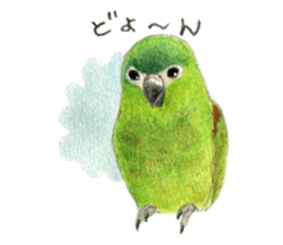 NORISAN BIRDS STICKER sticker #3721328