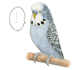 NORISAN BIRDS STICKER sticker #3721329