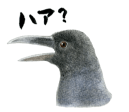 NORISAN BIRDS STICKER sticker #3721331