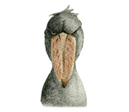 NORISAN BIRDS STICKER sticker #3721332