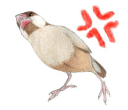 NORISAN BIRDS STICKER sticker #3721333