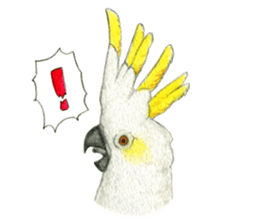 NORISAN BIRDS STICKER sticker #3721335