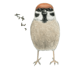 NORISAN BIRDS STICKER sticker #3721337