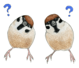 NORISAN BIRDS STICKER sticker #3721339