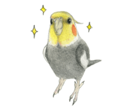 NORISAN BIRDS STICKER sticker #3721342