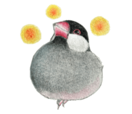 NORISAN BIRDS STICKER sticker #3721346