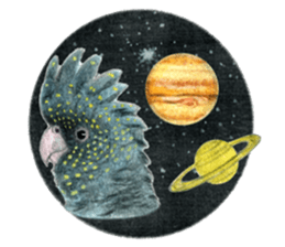 NORISAN BIRDS STICKER sticker #3721350