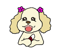 Toy poodle Waffle - real life sticker #3721351