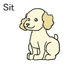 Toy poodle Waffle - real life sticker #3721352