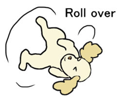 Toy poodle Waffle - real life sticker #3721355