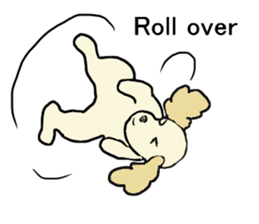 Toy poodle Waffle - real life sticker #3721355