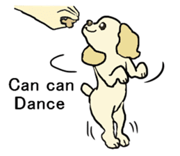 Toy poodle Waffle - real life sticker #3721357