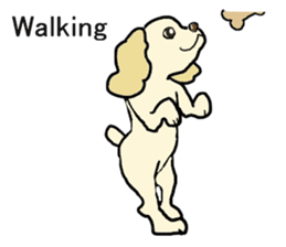 Toy poodle Waffle - real life sticker #3721358