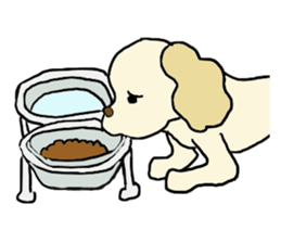 Toy poodle Waffle - real life sticker #3721360