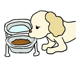 Toy poodle Waffle - real life sticker #3721360