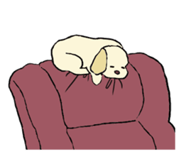 Toy poodle Waffle - real life sticker #3721364