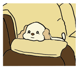 Toy poodle Waffle - real life sticker #3721365