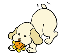 Toy poodle Waffle - real life sticker #3721366