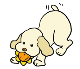 Toy poodle Waffle - real life sticker #3721366