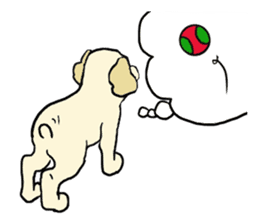 Toy poodle Waffle - real life sticker #3721367