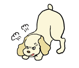 Toy poodle Waffle - real life sticker #3721371