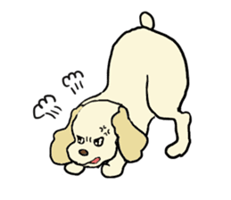 Toy poodle Waffle - real life sticker #3721371