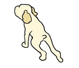 Toy poodle Waffle - real life sticker #3721374