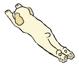 Toy poodle Waffle - real life sticker #3721375