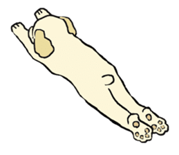 Toy poodle Waffle - real life sticker #3721375