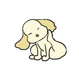 Toy poodle Waffle - real life sticker #3721377