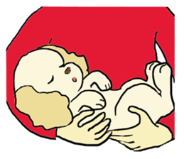 Toy poodle Waffle - real life sticker #3721379