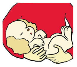 Toy poodle Waffle - real life sticker #3721379