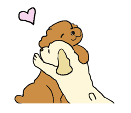 Toy poodle Waffle - real life sticker #3721380