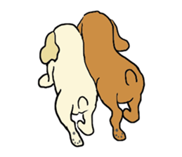 Toy poodle Waffle - real life sticker #3721381