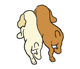 Toy poodle Waffle - real life sticker #3721381