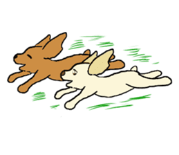 Toy poodle Waffle - real life sticker #3721382