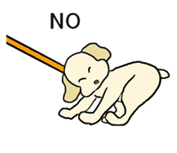 Toy poodle Waffle - real life sticker #3721383