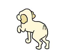 Toy poodle Waffle - real life sticker #3721384