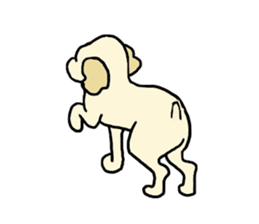 Toy poodle Waffle - real life sticker #3721384