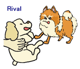 Toy poodle Waffle - real life sticker #3721385