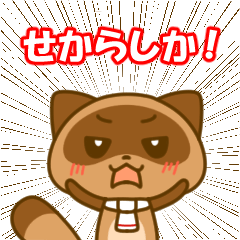 Kumamoto valve Sticker of raccoon