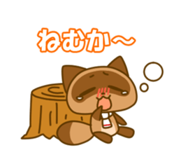 Kumamoto valve Sticker of raccoon sticker #3721617