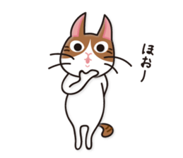 Cat zoo Volume2 sticker #3722441